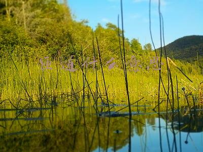 匝道为什么叫匝道(你知道高速公路上有加速车道和减速车道吗？现在看还不晚)