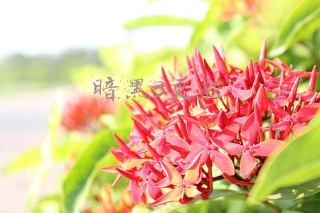 暗黑3更新