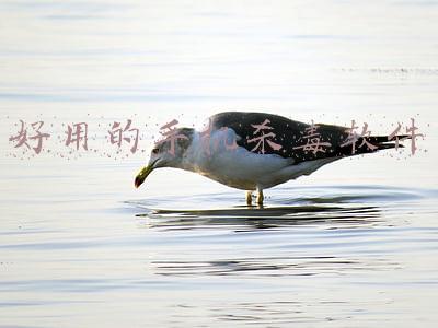最好用的手机杀毒软件(这个软件不简单！赶紧自查你的手机有没有！)