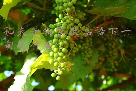 孔夫子搬家歇后语下一句出自(100句耳熟能详，又常用的歇后语，让你怼人出口成章)