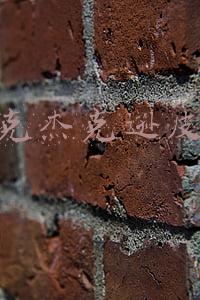 迈克杰克逊皮肤