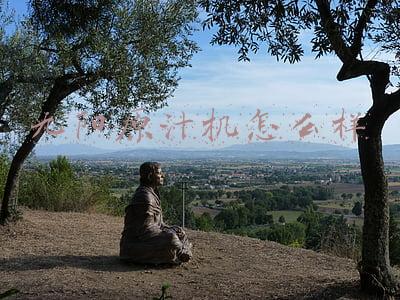 九阳原汁机怎么样