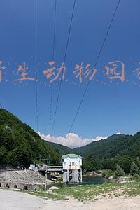 长隆野生动物园(长隆野生动物世界化验员：疫情期间的动物园，你不知道的另一面)
