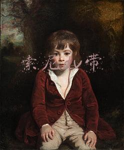 索尼dv带