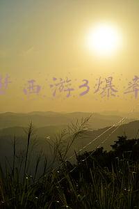 造梦西游3爆率表
