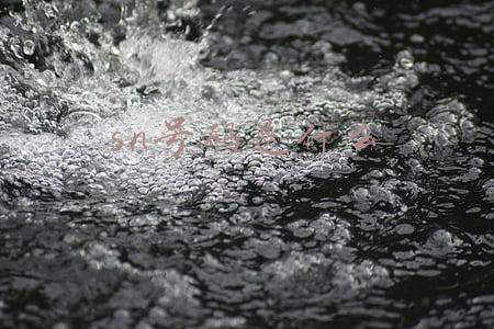 sn号码是什么
