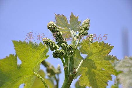 摩托罗拉 me865