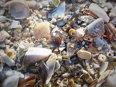 上海移动套餐资费介绍