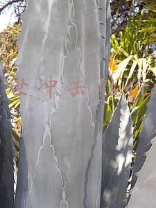 博世冲击钻价格