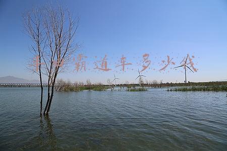 丰田霸道车多少钱一辆(49万提了辆丰田普拉多，开了8750公里，车主一肚子话要说)