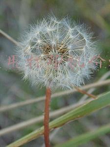家用打印机价格