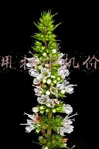家用打印机的价格(双十一必购：华为 PixLab X1打印机适合家庭用户和办公人群)