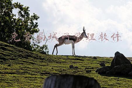 局域网管理软件破解版 绿色版(焦作联通携手江河纸业联合打造“5G管控中心”；中国移动完成基于5G云专线的云游戏方案验证 | 36氪5G创新日报1206)