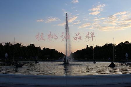 宝宝核桃油品牌(还不知道给宝宝用什么辅食油？核桃油哪家强？快来看看这个测评)