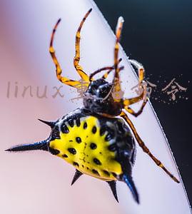 linux重启命令
