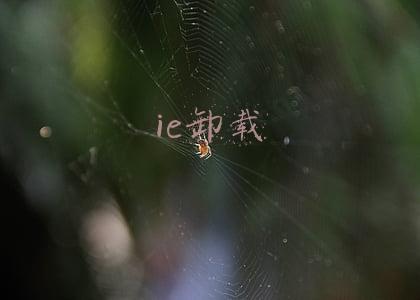 ie卸载