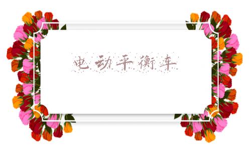 电动平衡车