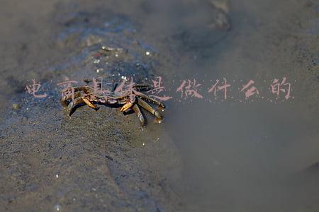 新手做电商具体思路(新手该如何做电商？)