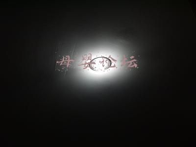 母婴论坛会讨论(一图看懂第二届博鳌母婴论坛，你所关注的重点都在这里)