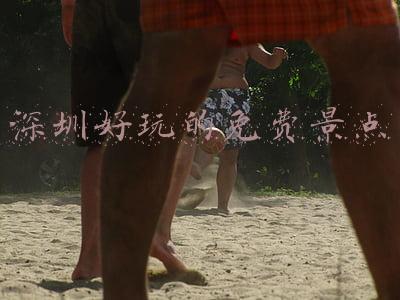深圳好玩的免费景点