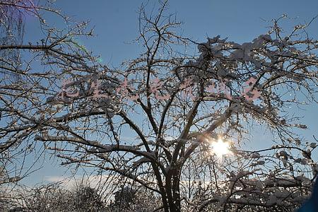 花生壳免费域名注册(节省专线、免公网IP，花生壳3步实现内网服务器安全外网访问)