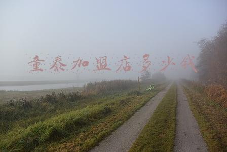 童泰加盟店；童泰加盟店官网