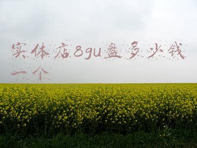 实体店u盘多少钱一个128g 实体店u盘多少钱一个64G
