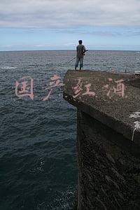 国产红酒有哪些品牌比较好(5款高质量国产狗粮推荐，良心总结经验贴)