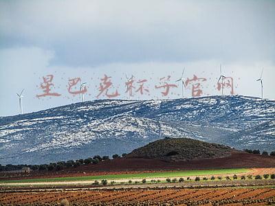 星巴克官网(全球知名咖啡品牌星巴克：过期抹茶液反复用，食材过期前十分钟换标签，报废糕点再上架，吧台毛巾擦垃圾桶)