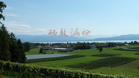 硒鼓漏粉
