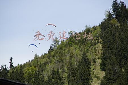 免费建论坛