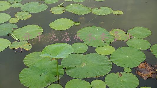 开干洗店成本要多少