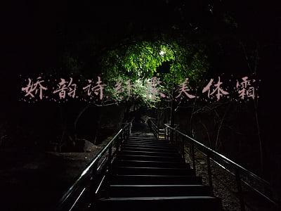 娇韵诗纤柔美体霜有瘦身效果吗(这样使用瘦身霜，减肥效果更明显)