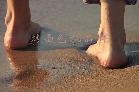 面包机排行榜(东菱面包机怎么样 东菱面包机热门款式有哪些)