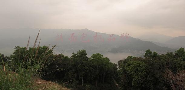 烤面包机品牌