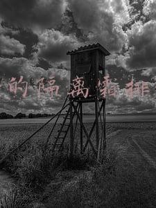 口碑最好的隔离霜排行榜(选好隔离霜不踩雷！！热门隔离霜荣耀榜)