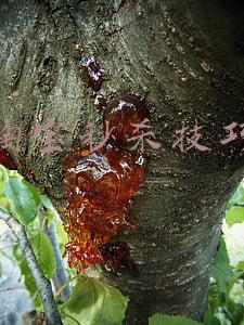 淘宝秒杀技巧