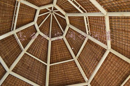 空间访客量(6000字成长攻略：小红书运营人该掌握这7种能力)