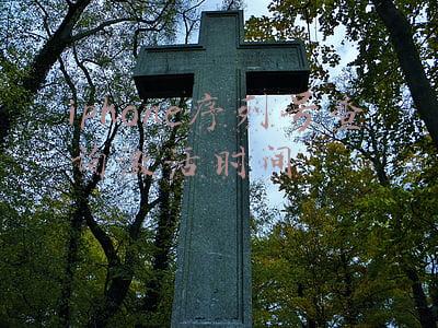 苹果查序列号查询激活时间(目前iPhone12后封机非常多，大家一定要看准激活日期)