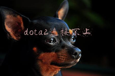 dota2一直连接不上服务器(DOTA2服务器连续崩溃，补偿仅TI10小本延期一周遭玩家吐槽)