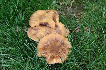 小红伞杀毒官网(宅家折腾了几十款杀毒软件后，还是觉得这些好用)