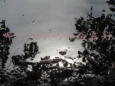 哪个牌子的沐浴露好