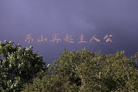 东山再起主人公是谁人是谁(“东山再起”的东山是哪座山？)