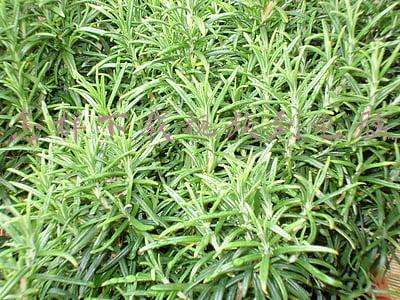 怎样下载视频到电脑