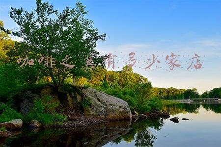 咖啡之翼总部地址 咖啡之翼总部电话