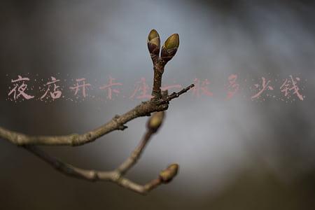夜店卡座和散台是什么意思_夜店散台跟卡座的区别