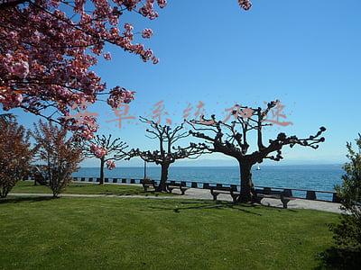 安卓系统加速播放器(音画兼顾的实力派——体验亿格瑞A15硬盘播放器)