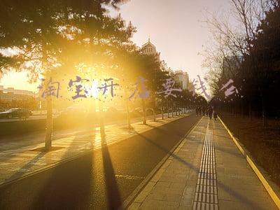 淘宝开店要钱么