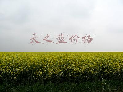 天之蓝价格