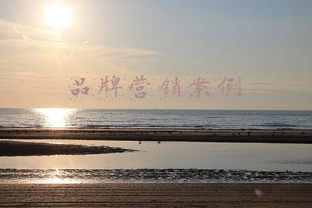 品牌营销案例
